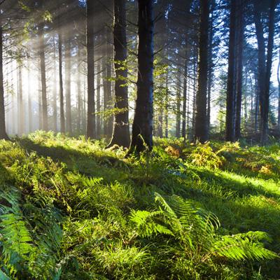 亚虎娱乐app下载